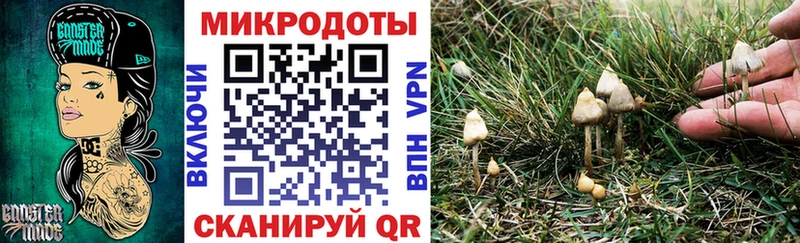 мега онион Белинский Псилоцибиновые грибы прущие грибы